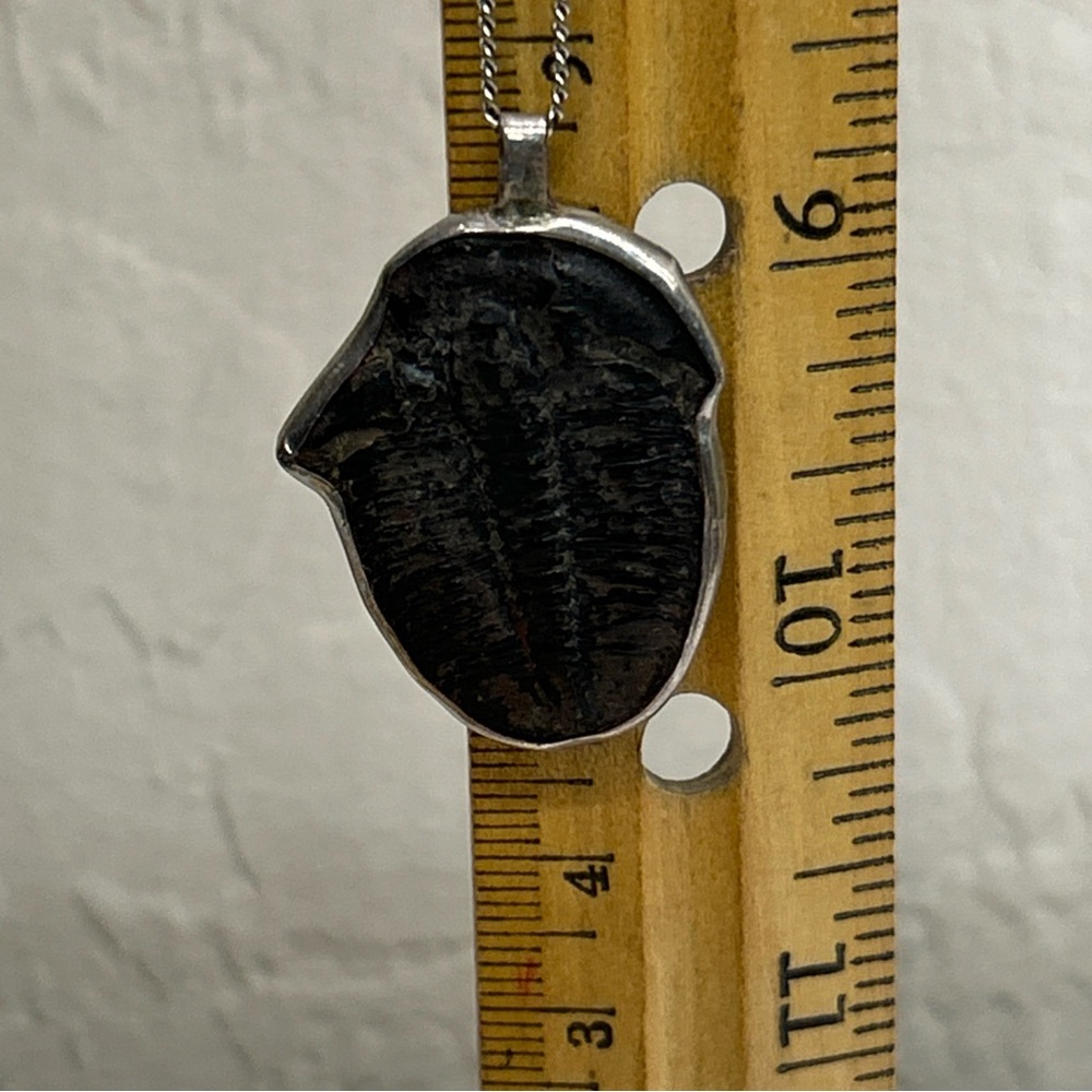 Vintage Trilobite Fossil Pendant In Sterling On Silver Tone Chain Unmarked - Picture 5 of 5